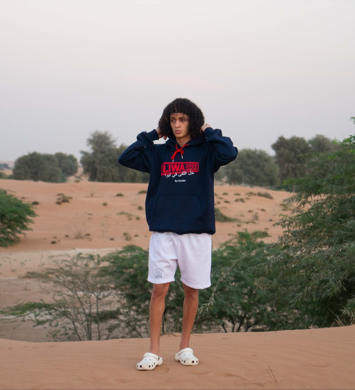مجموعة ليوا